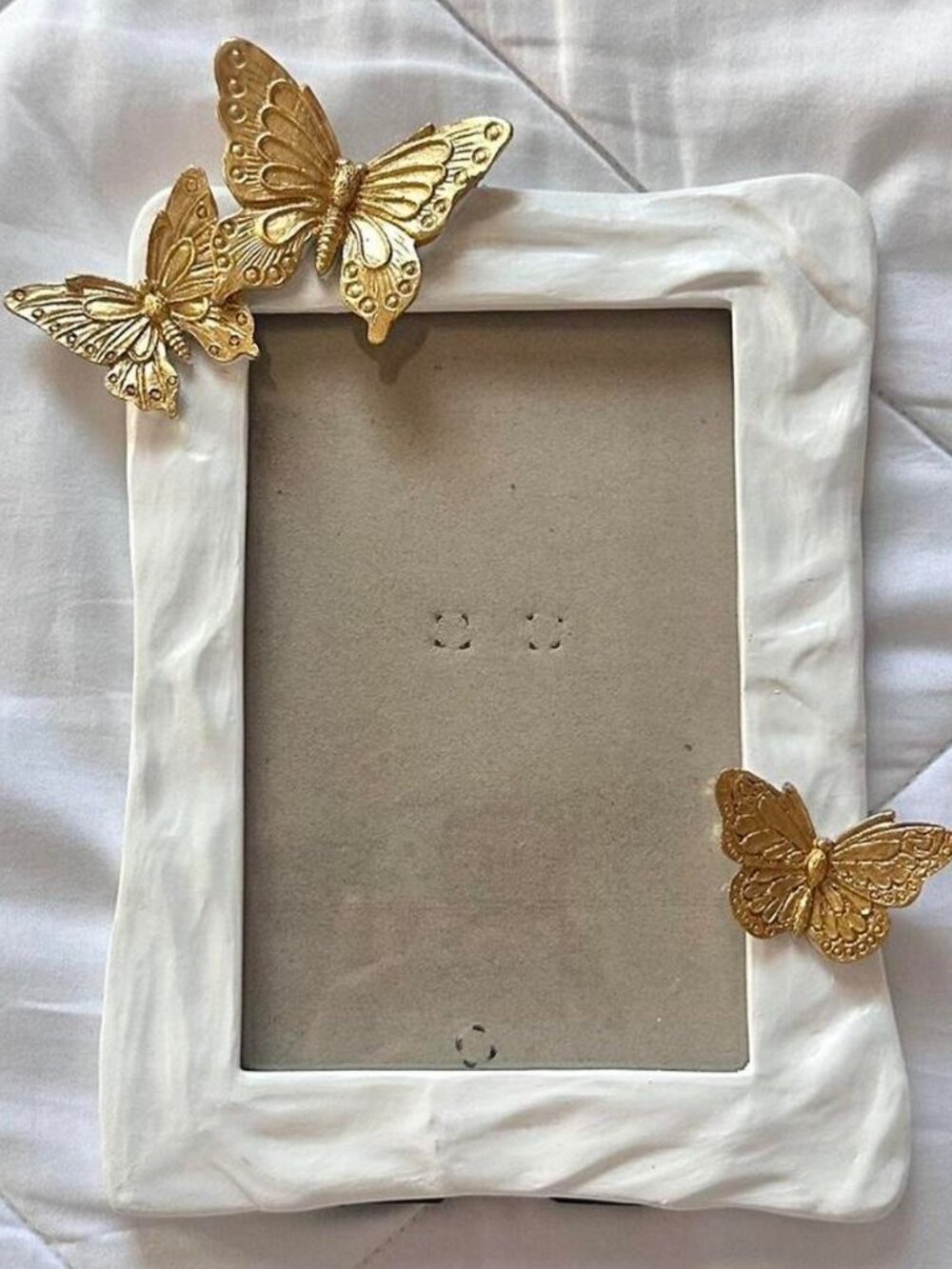 Butterfly Frame